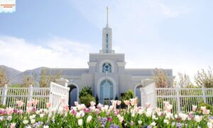 150+ Temple Captions for Instagram Unique Photo Ideas