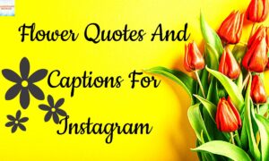 250+ Flower Captions for Instagram Cute, Aesthetic & Short Floral Quotes