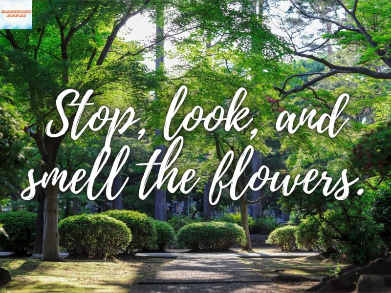 Garden Captions for Instagram