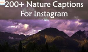 Nature Captions for Instagram 400+ Quotes, Puns, and Views to Inspire Your Feed