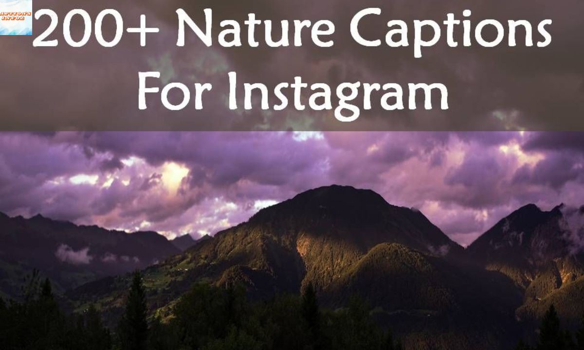 Nature Captions for Instagram 400+ Quotes, Puns, and Views to Inspire Your Feed