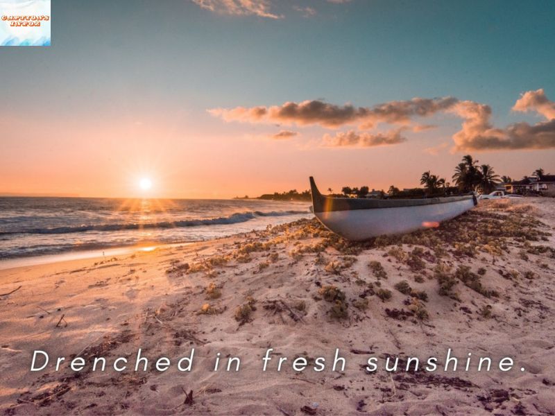 Urban Sunrise Instagram Captions