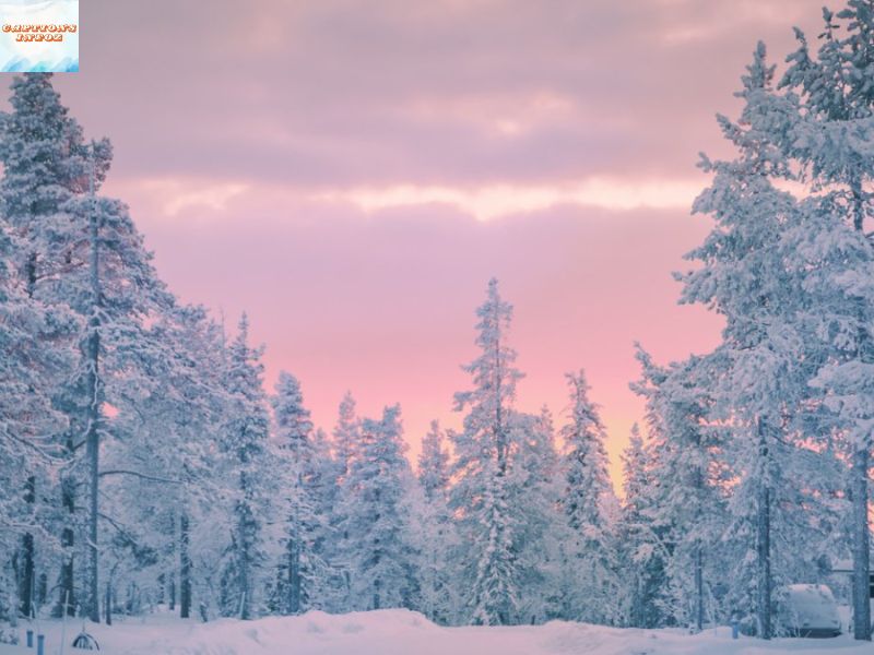 122 Best Snow Captions for Instagram (Perfect for Any Winter Day)