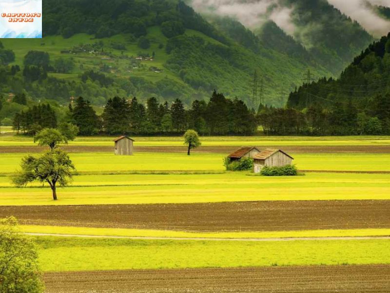 Serene Village Captions