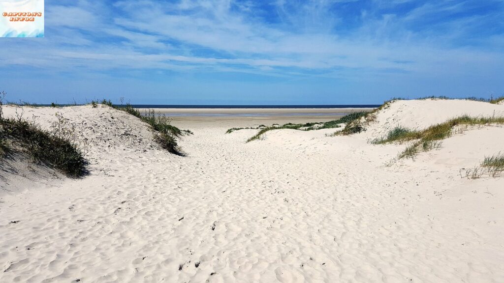 Beach Captions Inspired by Quotes