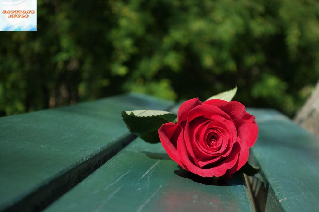 Missing Someone Captions for Instagram